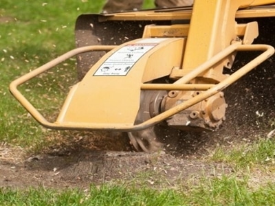 Stump Grinder 2.0 - Denver Stump Company