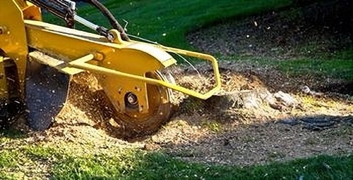 stump grinding Englewood, CO